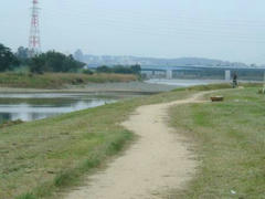 多摩川の散歩道