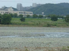 多摩川の風景