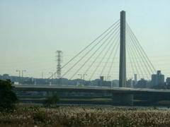 府中市四谷橋（斜張橋（向こう側））