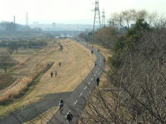 多摩川の遊歩道