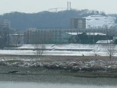 雪の多摩川
