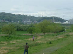 河川敷の緑！