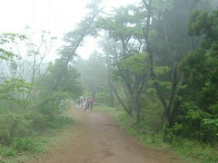 高尾山の尾根