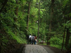 高尾山の登山道