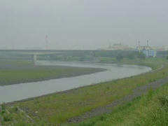 雨の多摩川