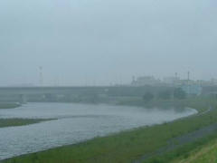 雨の多摩川
