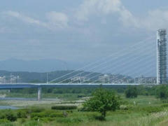 多摩川・是政橋