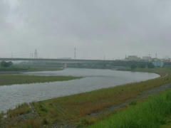 雨の多摩川