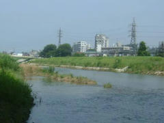 八王子浅川上流