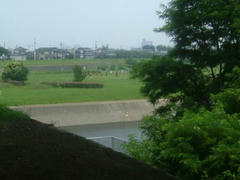 多摩川の風景