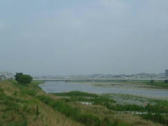 多摩川の風景