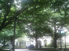 青山学院