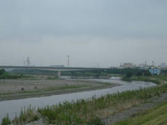 多摩川・定点観測