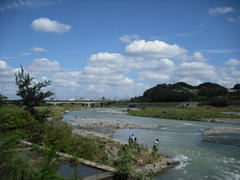 多摩川の陸