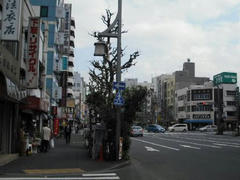 浅草菊屋橋交差点