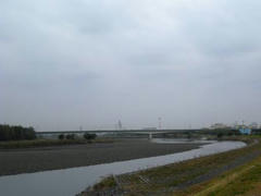 多摩川・定点観測