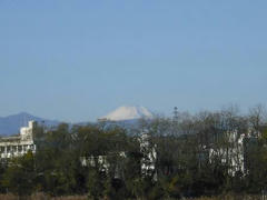 多摩川の富士山２