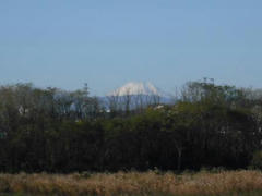 多摩川の富士山１