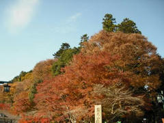 高尾山紅葉２