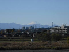 多摩川と富士山