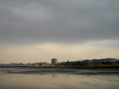 多摩川の冬景色