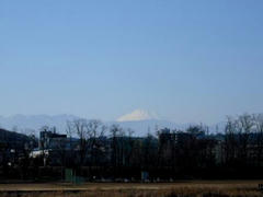 多摩川から見える富士山