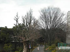 上野公園