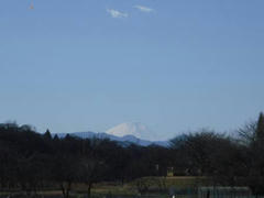 富士山