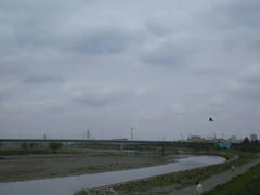 多摩川・定点観測