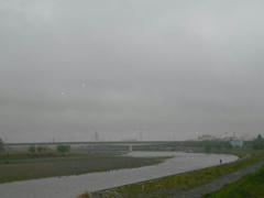 多摩川・定点観測☆雨♪