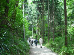 高尾山登山道