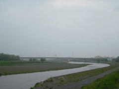 雨の多摩川