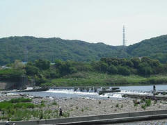 多摩川・大丸用水堰