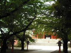 新宿・花園神社