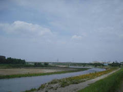 多摩川・定点観測