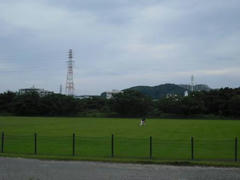 多摩川・河川敷の緑