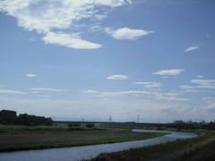 多摩川・定点観測