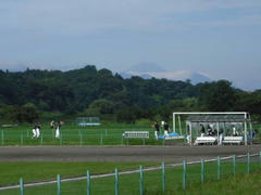 多摩川から見えた富士山