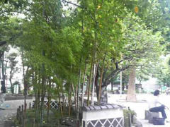 浅草公園