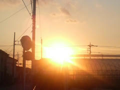 真っ赤に染まった夕日