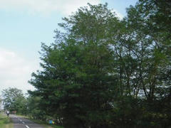 多摩川の風景