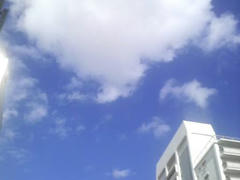 浅草☆紺碧の空♪