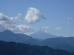 高尾山からの富士山