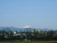 富士山