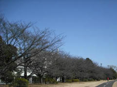 多摩川☆冬景色
