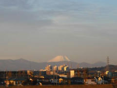 富士山