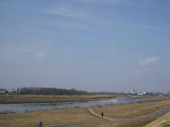 多摩川全景