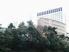 上智大の見える風景