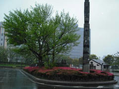 新木場の風景