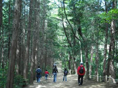 稲荷山コース